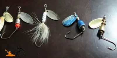 Trout Fishing Spinner: Maximize Your Catches with Expert Techniques!