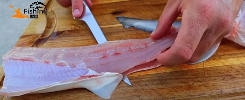 Shark meat